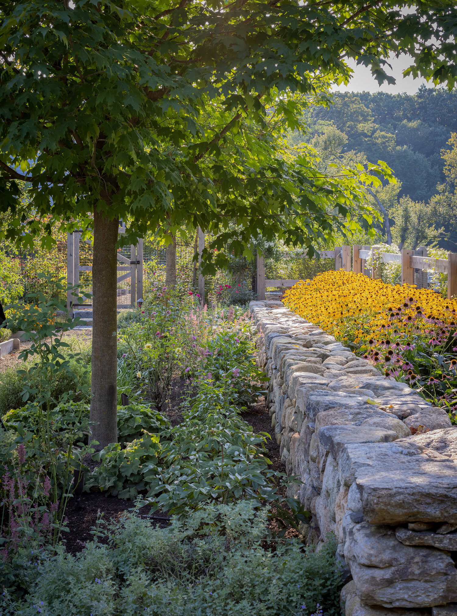Historic Farmhouse Estate Image 6