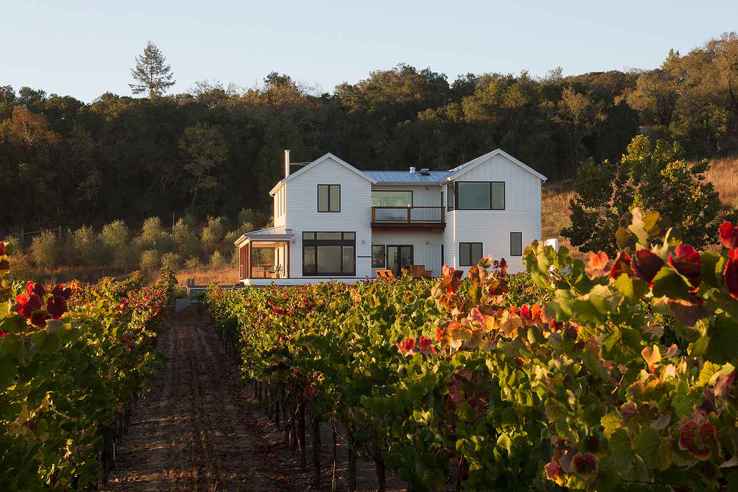 Vineyard Farmhouse Main Image