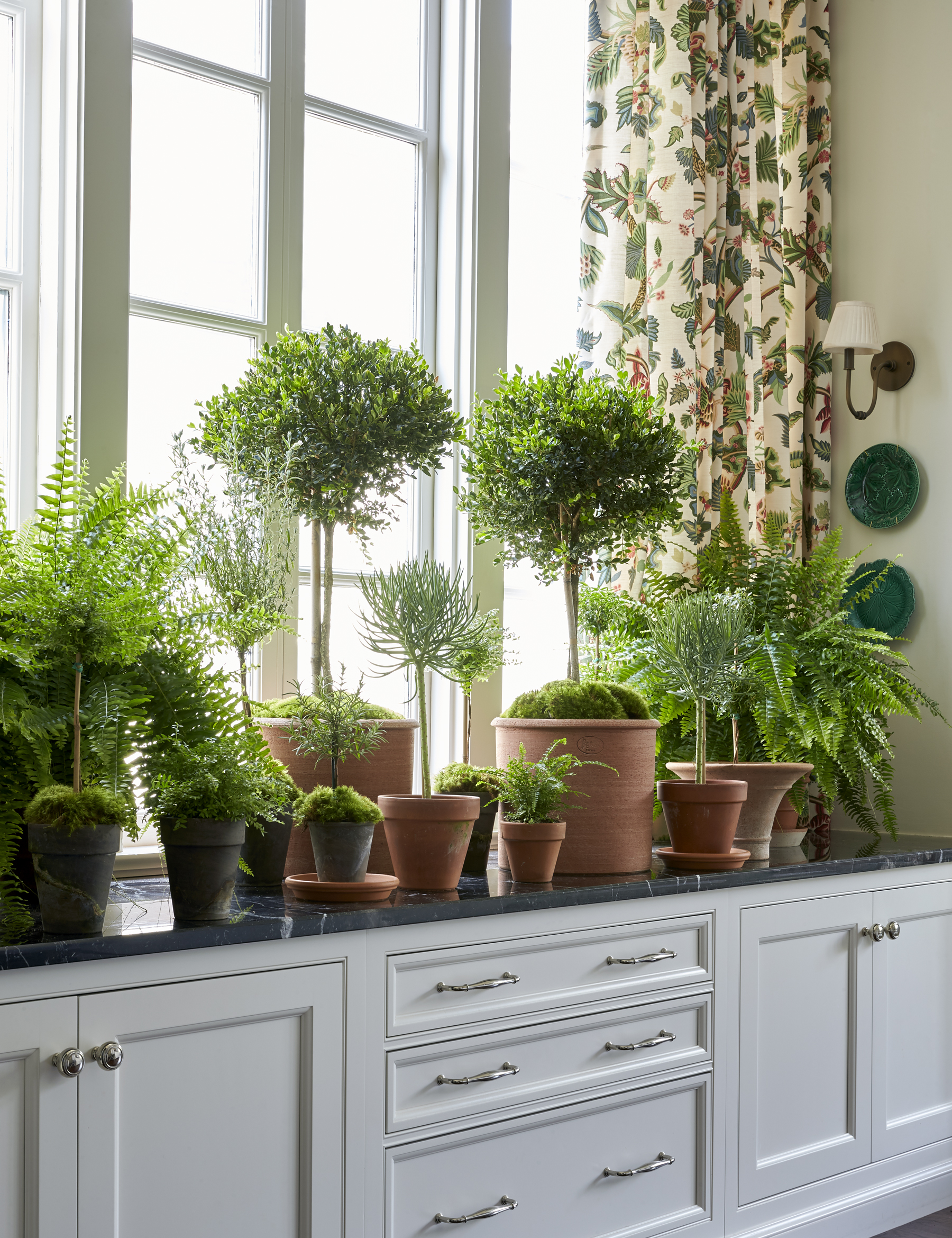 Country to Town: Belle Meade Townhouse  Image 6