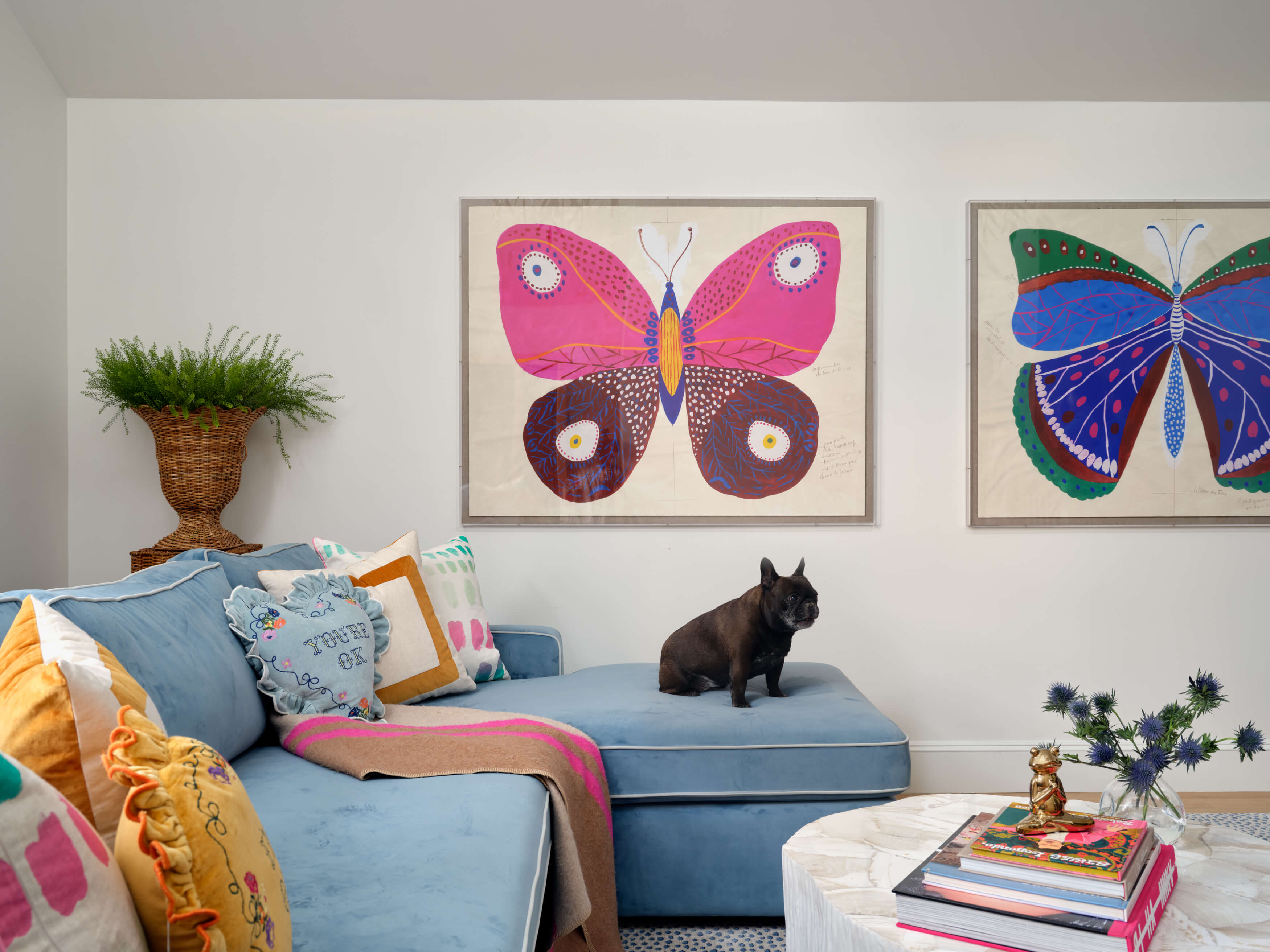 Colorful Coastal Cocoon Image 19