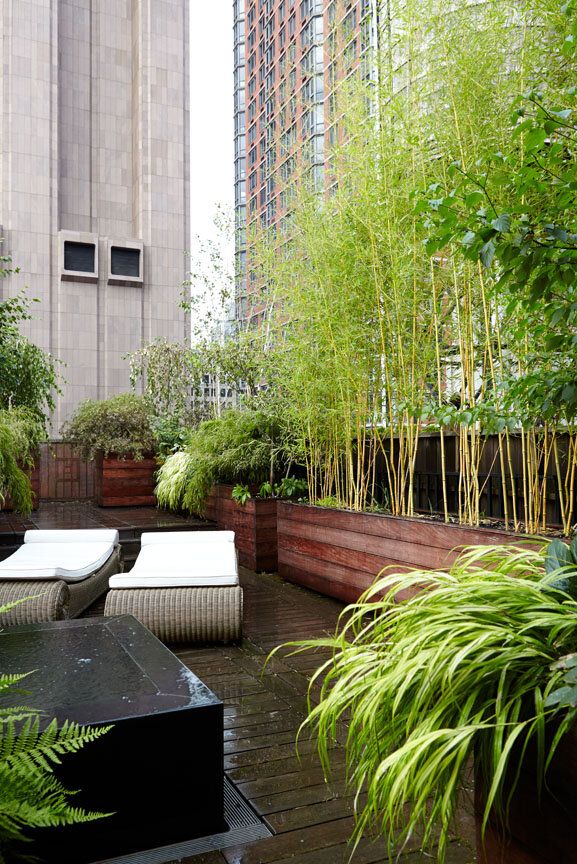 Penthouse Tribeca  Image 1