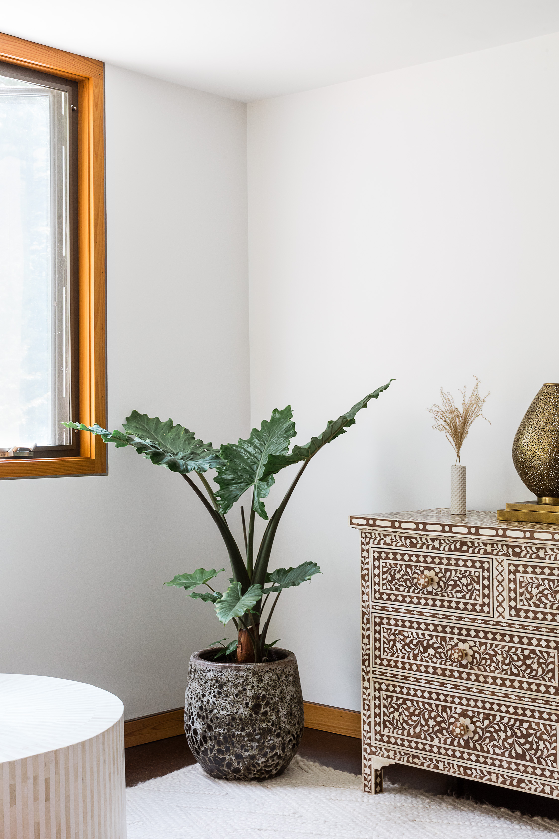Boho Bauhaus Image 3
