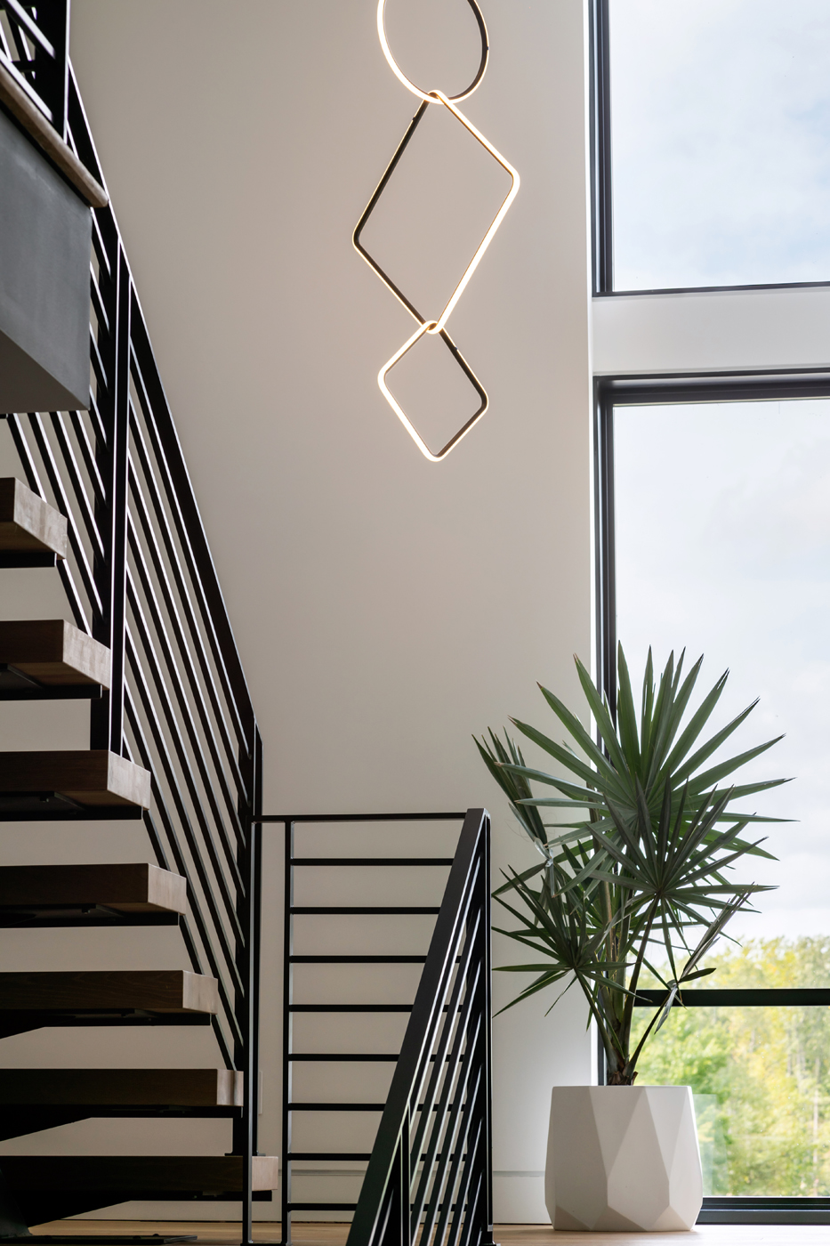 Modern in the Woods Image 13